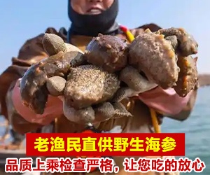天玑 8400全大核架构加持，性能、<a href=http://www.newskj.org/e/tags/?tagname=%C4%DC%D0%A7 target=_blank class=infotextkey>能效</a>突破惊艳全场