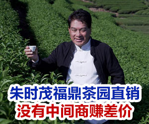 廣告