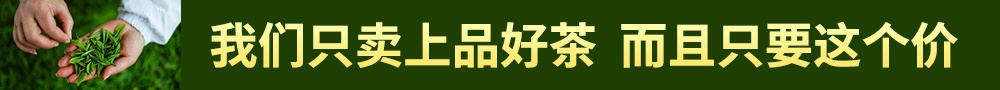美法官批准Anthropic 15亿美元版权和解协议,系AI训练版权案首例重大和解